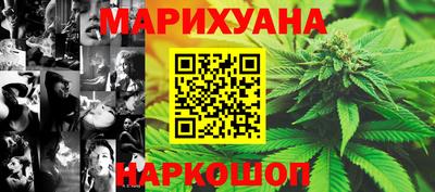 индика Ачхой-Мартан
